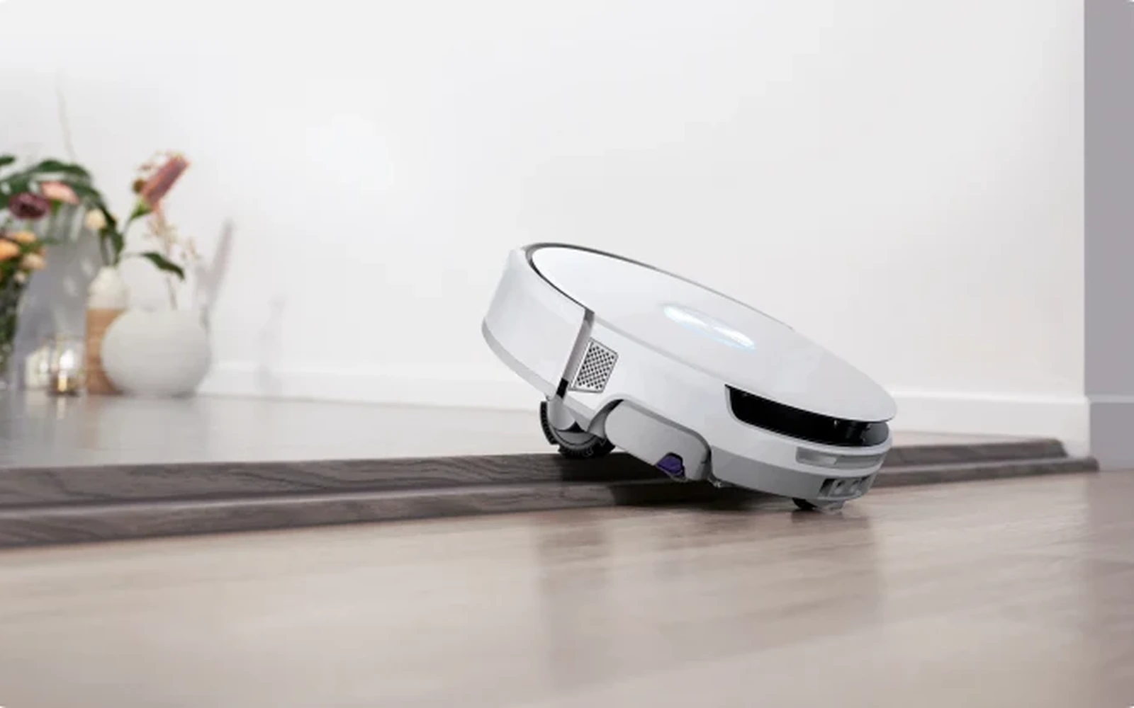 Featured image for Robot vacuums and thresholds, carpets, cables and pets