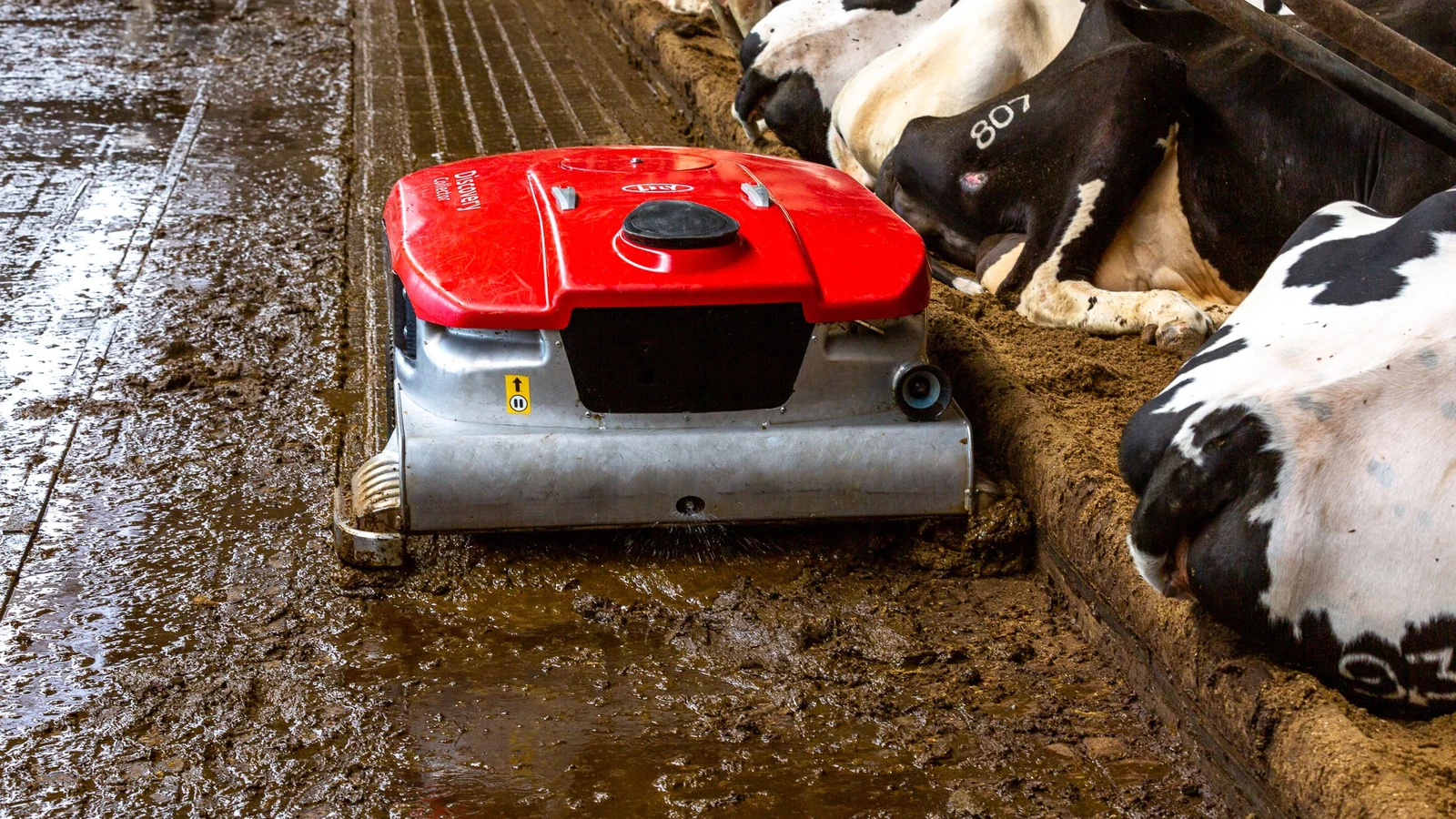 Lely Discovery Collector collecting manure from a barn floor