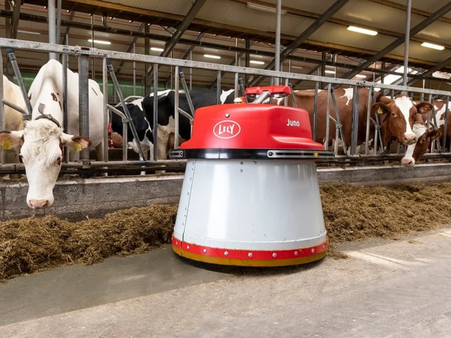 Lely Juno pushing feed along a feed table