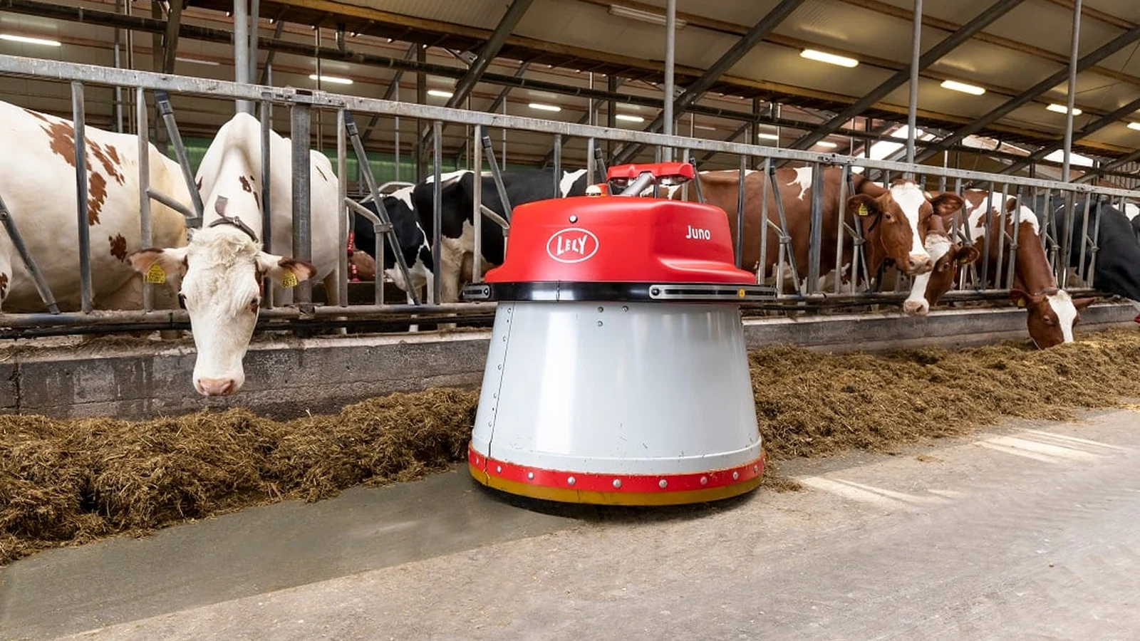 Lely Juno pushing feed along a feed table