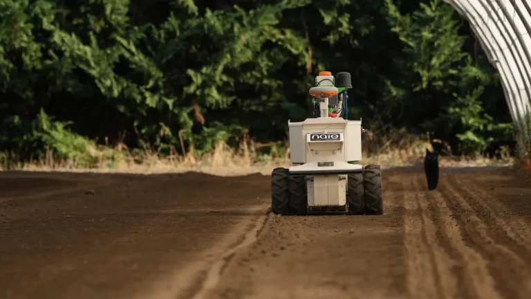 Naïo OZ compact robot for work in crop rows