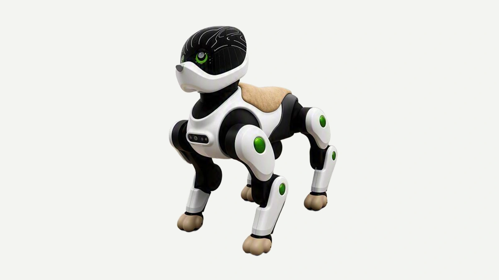 Home LEO — wizerunek produktu z prezentacji Kawasaki