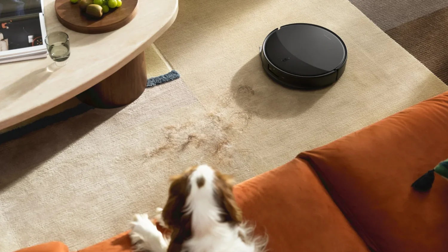 Roborock Saros 20 robot vacuum in a home near a pet